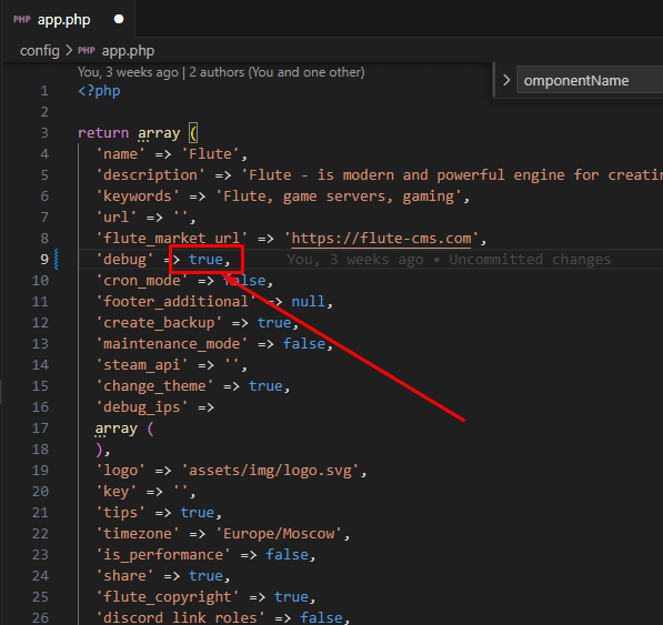 Enabling debug in configuration file